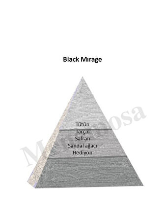 Niche Black Black Mirage Unisex Extrait De Perfume 100 ml - Mnms100bmır