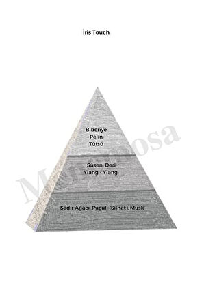 Niche Black Iris Touch Unisex Extrait De Perfume 100 ml - Mnms100iris