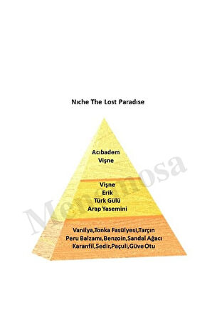 Niche Red The Lost Paradıse Unisex Extrait De Perfume 100 ml