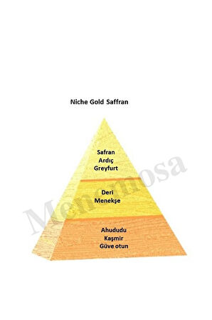 Niche Gold Saffran Unisex Extrait De Perfume 100 ml - Mnms100saffran