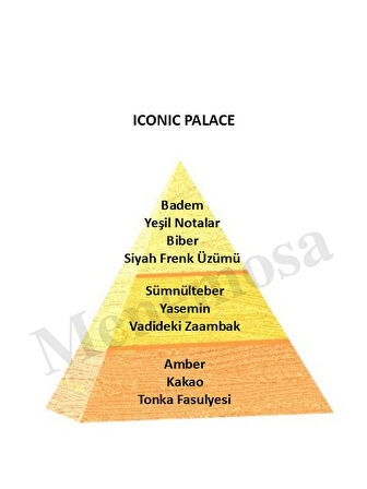 Sümbül Amber Dekoratif Oda Parfümü 120ml Iconıc Place - Sümbül Amber