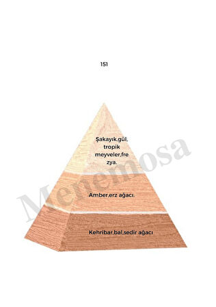 151 + 151 Kadın Parfüm Edp Floral - Mnms1512