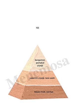 153 + 153 Kadın Parfüm Edp  Floral - Mnms1532