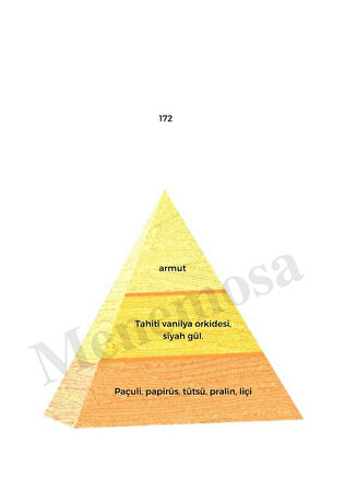 172 + 172 Kadın Parfüm Edp  Oriental - Mnms1722