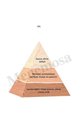 174 + 174  Kadın Parfüm Edp  Floral - Mnms1742