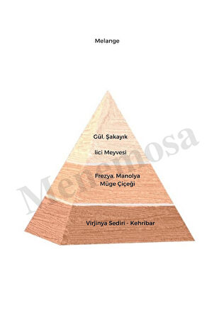 Melange Kadın Parfüm + No: 122 Saç Parfüm Floral / Oriental - Mnms200mels
