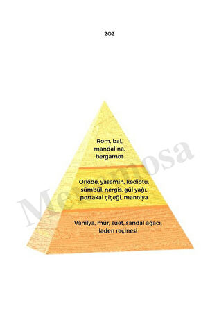 202 + 588 Kadın / Erkek Parfüm Edp Oriental / Woody - Mnms202588