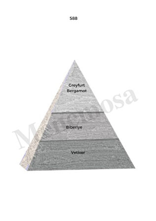 202 + 588 Kadın / Erkek Parfüm Edp Oriental / Woody - Mnms202588
