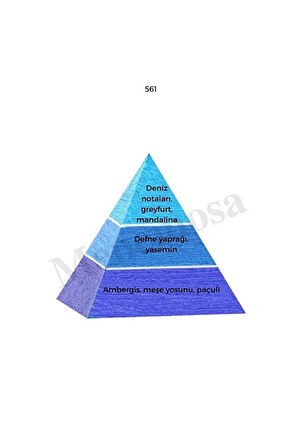 No:122 No:561 Body Mist Kadın / Erkek 210 ml Edt - Mnms210edt122561