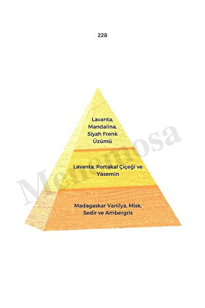 No:228 Body Mist Kadın 210 ml Edt Oriental - Mnms210no228bm