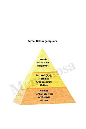 Temel Bakım Şampuanı Unisex - Mnms250şmpn