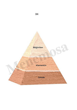 391 + 743 Kadın / Erkek Parfüm Edp Floral / Woody - Mnms391743