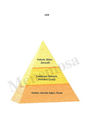 409 + 409 Kadın Parfüm Edp Oriental - Mnms4092
