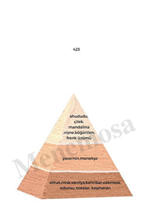 423 + 423 Kadın Parfüm Edp Floral - Mnms4232