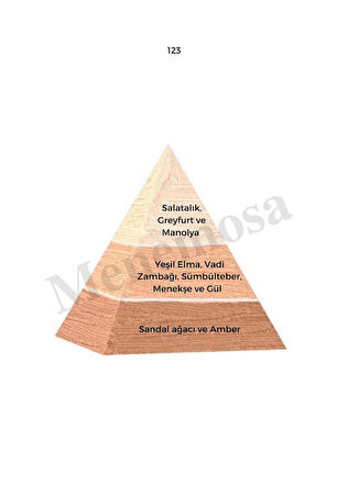 No:451 + 123 Unisex / Kadın Parfüm Edp  Fresh / Floral - Mnms451123