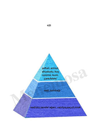 No:451 + 123 Unisex / Kadın Parfüm Edp  Fresh / Floral - Mnms451123