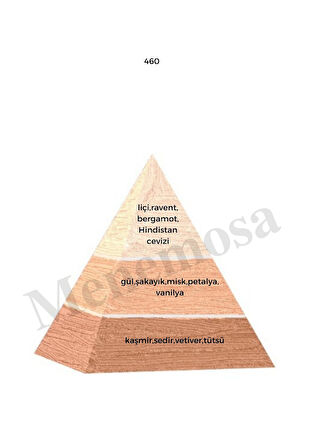 460 + 460  Kadın Parfüm Edp  Floral - Mnms4602