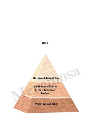 103b Kadın Parfüm Edp 50 ml Floral - Mnms50103b