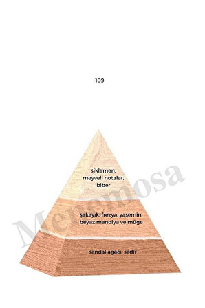 109 Kadın Parfüm Edp 50 ml Floral - Mnms50109