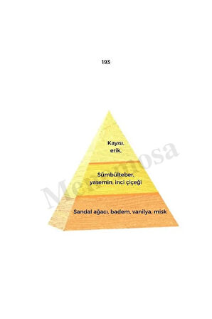 122 193 Kadın/unisex Parfüm Edp 50 ml Oriental -mnms50122193