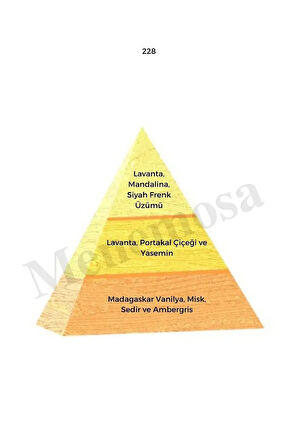 122 228 Kadın Parfüm Edp 50 ml Oriental - Mnms50122228