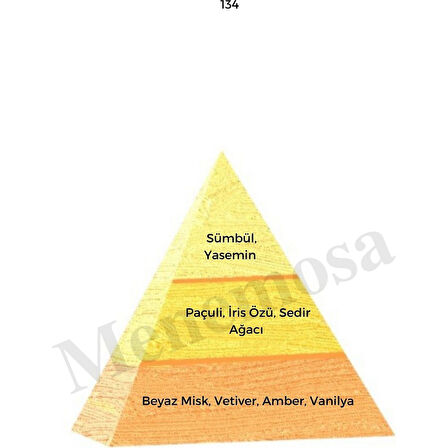 134 + No: 528 Kadın / Erkek Parfüm EDP 50 ml Oriental / Fresh