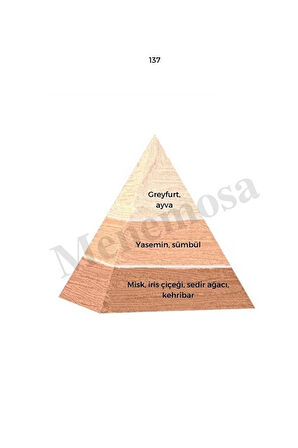 137 Kadın Parfüm Edp 50 ml Floral - Mnms50137