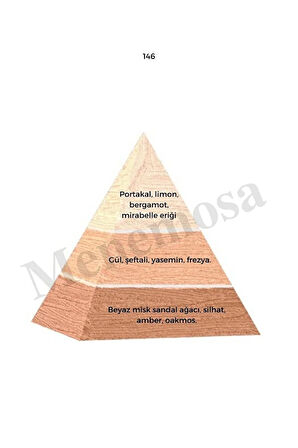 146 Kadın Parfüm Edp 50 ml Floral - Mnms50146