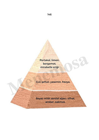 146 + 675 Kadın / Erkek Parfüm Edp 50 ml  Floral / Fresh  - Mnms50146675