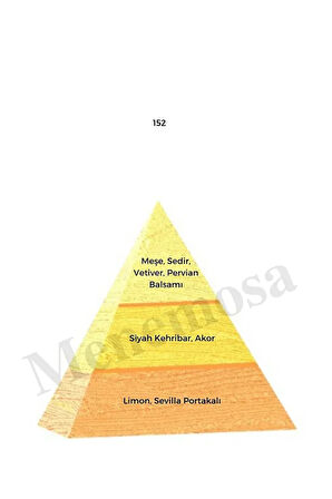 152 Kadın Parfüm Edp 50 ml Oriental - Mnms50152