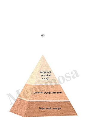 153 Kadın Parfüm Edp 50 ml Floral - Mnms50153