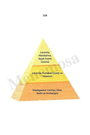 154 228 Kadın Parfüm Edp 50 ml Floral7oriental - Mnms50154228