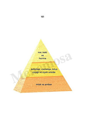 161 Kadın Parfüm Edp 50 ml Oriental - Mnms50161