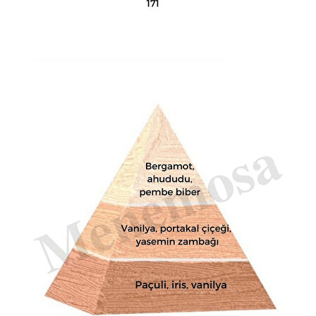 171 + No: 528 Kadın / Erkek Parfüm EDP 50 ml Floral / Fresh