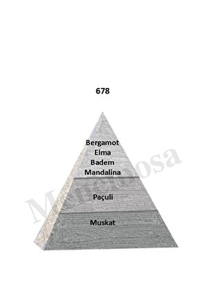 171 678 Kadın/erkek Parfüm Edp 50 ml Floral/woody - Mnms50171678