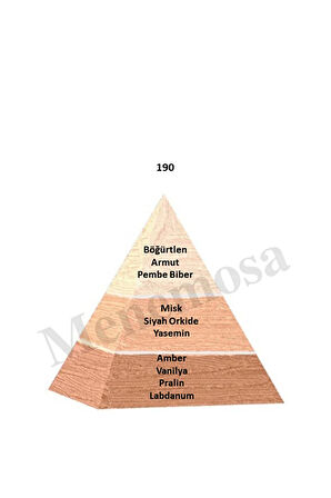 190 Kadın Parfüm Edp 50 ml Floral - Mnms50190