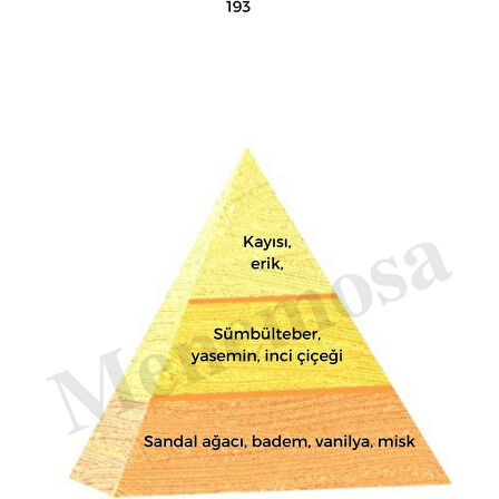 193 + No: 528 Unisex / Erkek Parfüm EDP 50 ml Oriental / Fresh