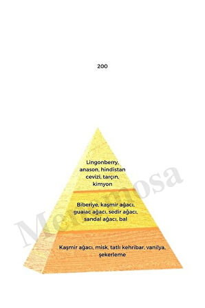 200 Unisex Parfüm Edp 50 ml Oriental - Mnms50200