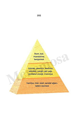 202 Kadın Parfüm Edp 50 ml Oriental - Mnms50202