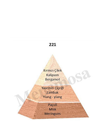 221 KADIN 50 ml PARFÜM EDP FLORAL