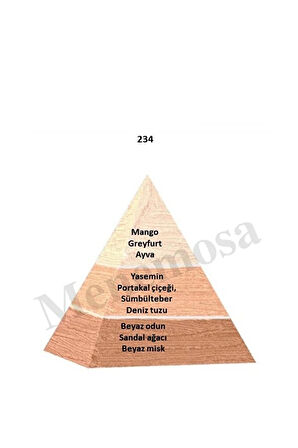 234 Kadın Parfüm Edp 50 ml Floral - Mnms50234