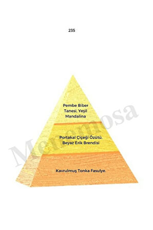 235 + 235 Kadın Parfüm Edp 50 Ml Oriental - mnms502352