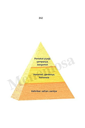 242 Kadın Parfüm Edp 50 ml Oriental - Mnms50242