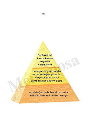 252 Kadın Parfüm Edp 50 ml Oriental - Mnms50252