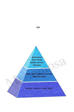 256 Kadın Parfüm Edp 50 ml Fresh - Mnms50256