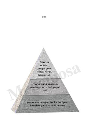 278 Unisex Parfüm Edp 50 ml Woody mnms50278