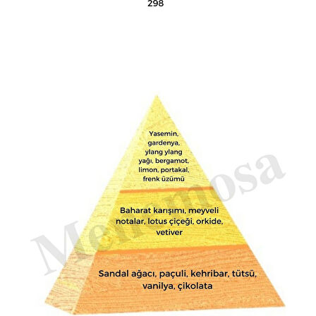 298 + No: 528 Unisex / Erkek Parfüm EDP 50 ml Oriental / Fresh