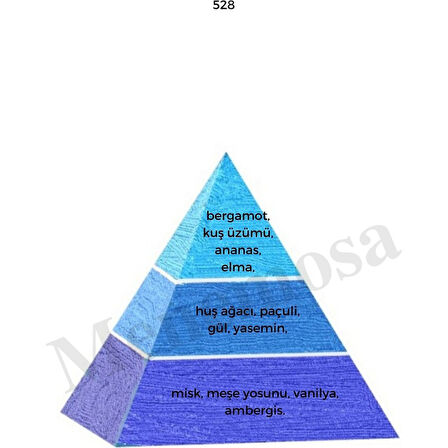 298 + No: 528 Unisex / Erkek Parfüm EDP 50 ml Oriental / Fresh