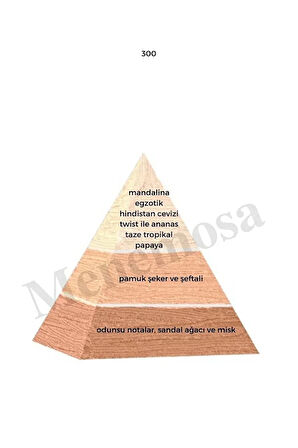 300 Kadın Parfüm Edp 50 ml Floral - Mnms50300