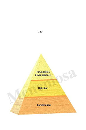 320 Kadın Parfüm Edp 50 ml Oriental - Mnms50320